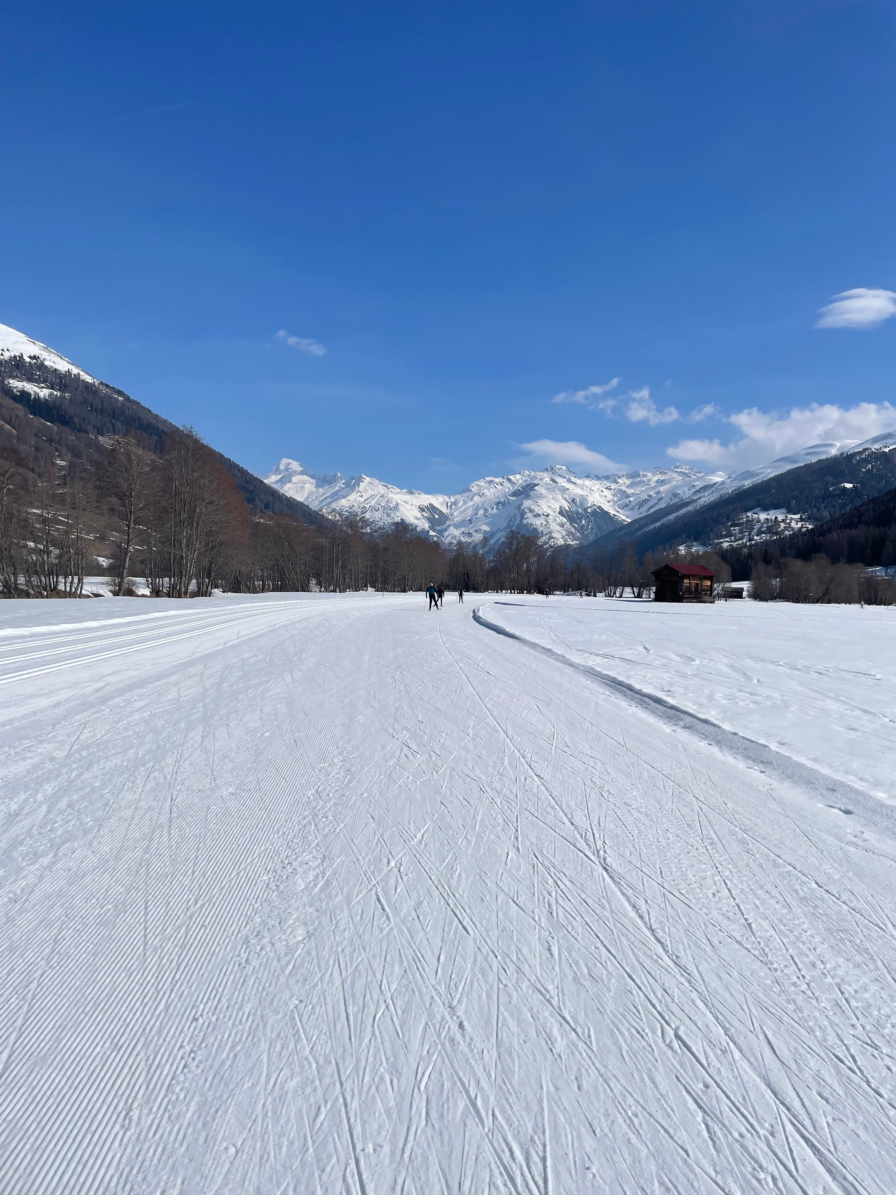 Langlauf in verschneiter Landschaft