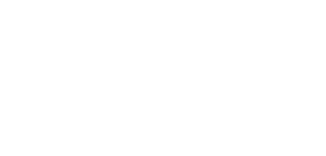 Langlaufcoach.ch Logo